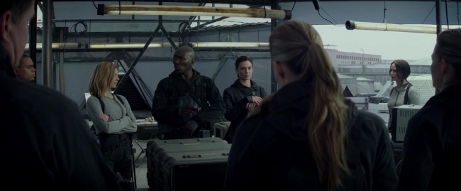 Mockingjay2_1776.jpg