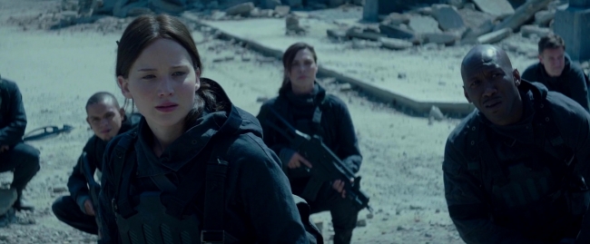 Mockingjay2_1927.jpg