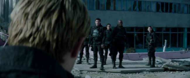 Mockingjay2_2008.jpg