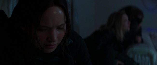 Mockingjay2_2804.jpg