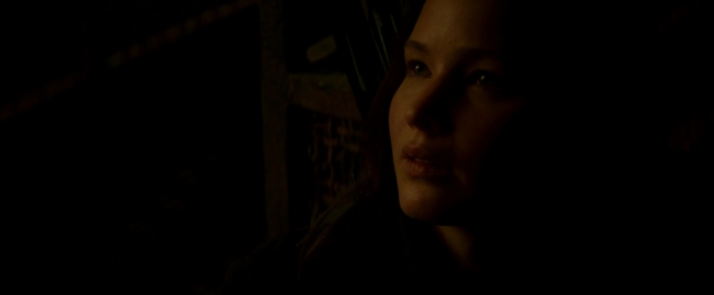 Mockingjay2_3337.jpg