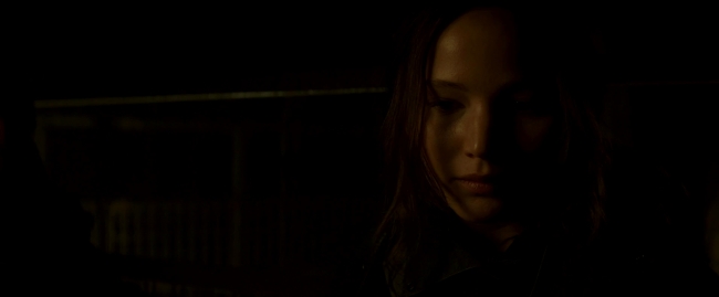 Mockingjay2_3352.jpg