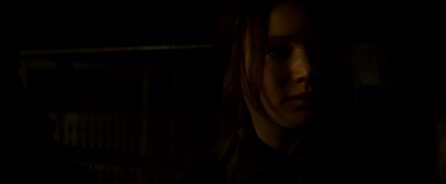 Mockingjay2_3354.jpg