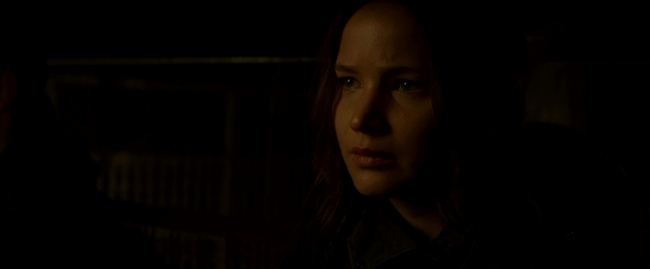 Mockingjay2_3383.jpg