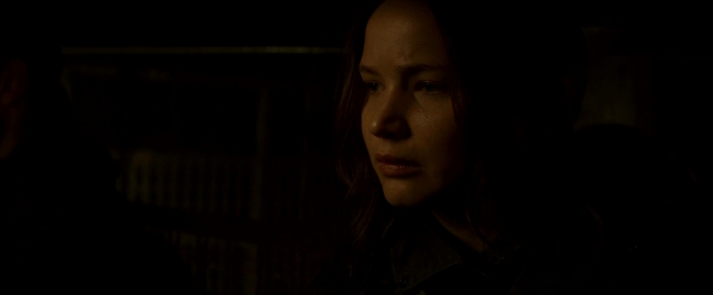 Mockingjay2_3423.jpg