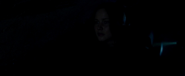 Mockingjay2_3614.jpg
