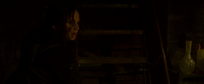 Mockingjay2_4011.jpg