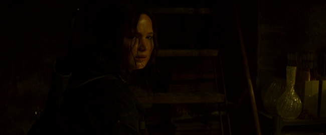 Mockingjay2_4013.jpg