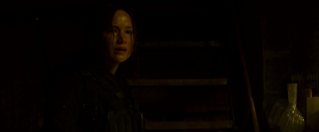 Mockingjay2_4016.jpg