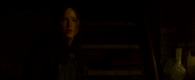 Mockingjay2_4025.jpg