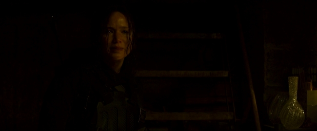 Mockingjay2_4030.jpg
