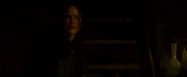 Mockingjay2_4044.jpg