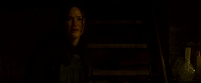 Mockingjay2_4048.jpg