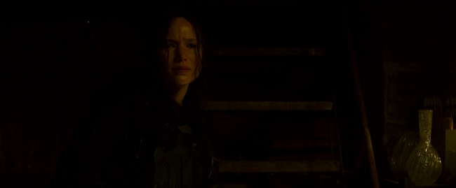 Mockingjay2_4053.jpg