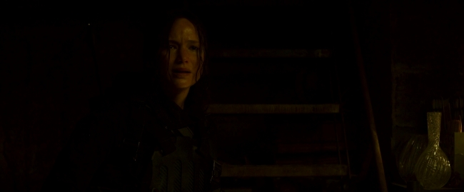 Mockingjay2_4056.jpg