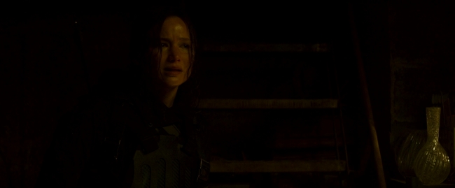 Mockingjay2_4064.jpg