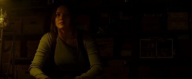 Mockingjay2_4273.jpg