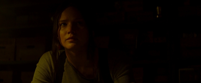 Mockingjay2_4312.jpg
