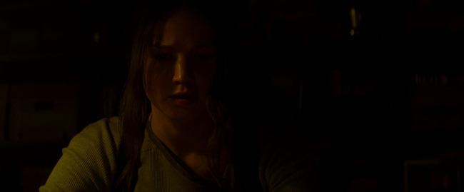Mockingjay2_4333.jpg