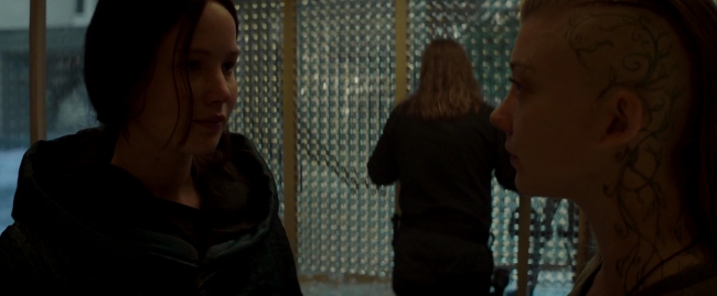Mockingjay2_4359.jpg