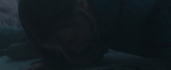 Mockingjay2_4751.jpg