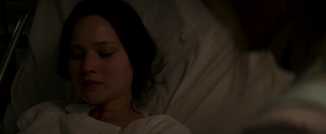 Mockingjay2_4839.jpg