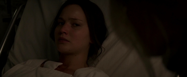 Mockingjay2_4867.jpg