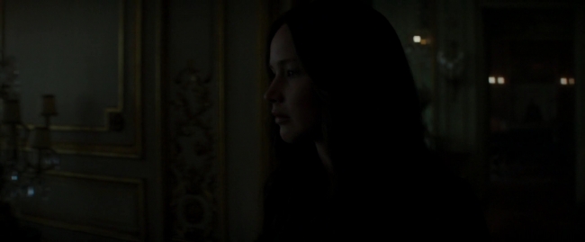 Mockingjay2_4938.jpg