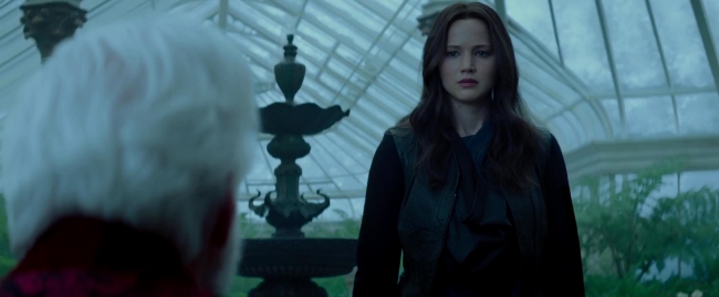 Mockingjay2_5031.jpg