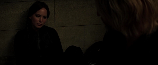 Mockingjay2_5666.jpg
