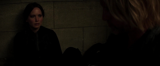 Mockingjay2_5720.jpg
