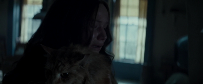 Mockingjay2_5895.jpg