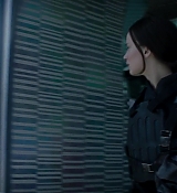 Mockingjay2_1972.jpg