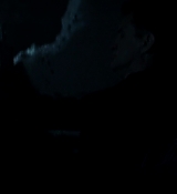 Mockingjay2_2177.jpg