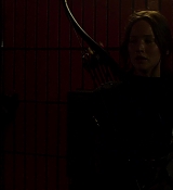 Mockingjay2_3174.jpg