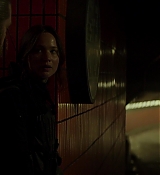 Mockingjay2_3184.jpg