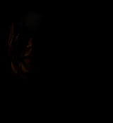 Mockingjay2_3471.jpg