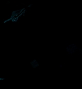 Mockingjay2_3604.jpg