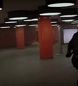 Mockingjay2_3836.jpg