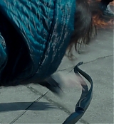 Mockingjay2_4631.jpg