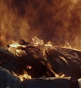 Mockingjay2_4791.jpg