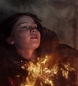 Mockingjay2_4795.jpg