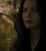Mockingjay2_5911.jpg