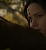 Mockingjay2_5924.jpg