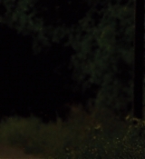 HouseEndStreet_00859.jpg